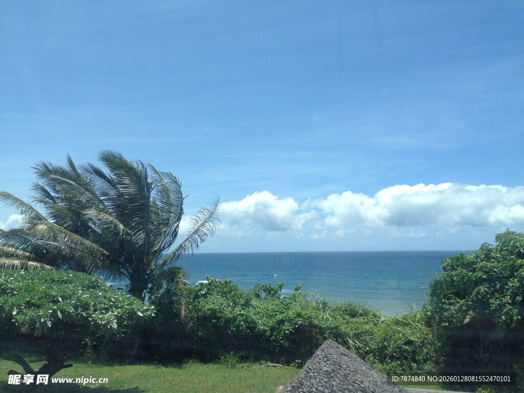 海边风景 椰树蓝天碧海