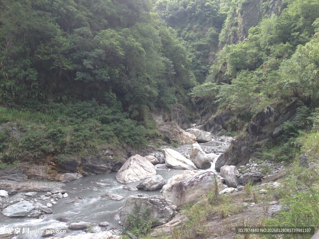 山间溪流与葱郁植被景观