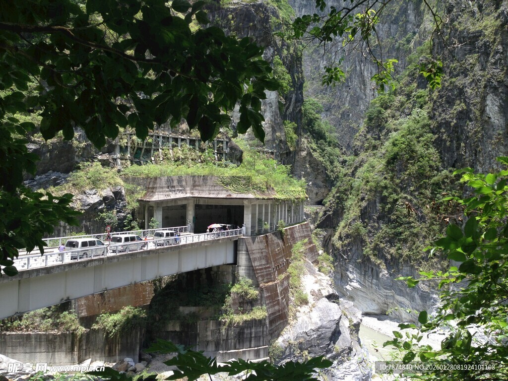 山间高架桥穿行于绿意中