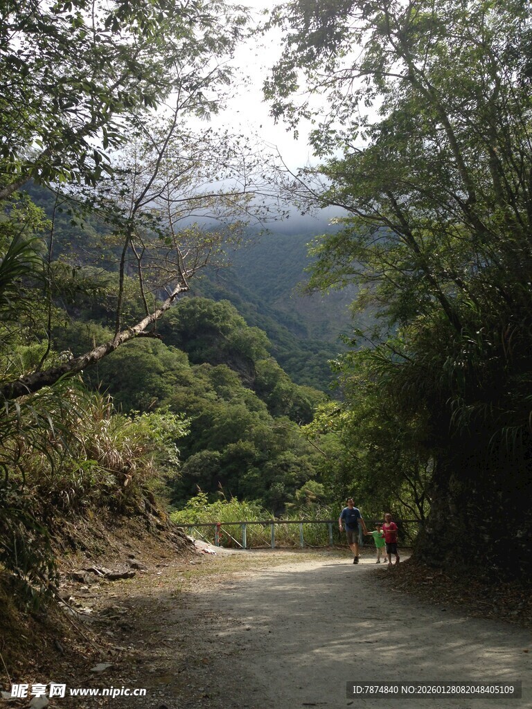 山间小道 自然美景初现