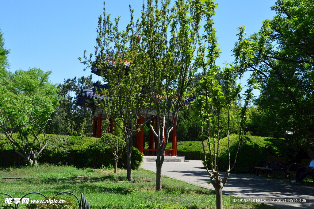 公园风景  
