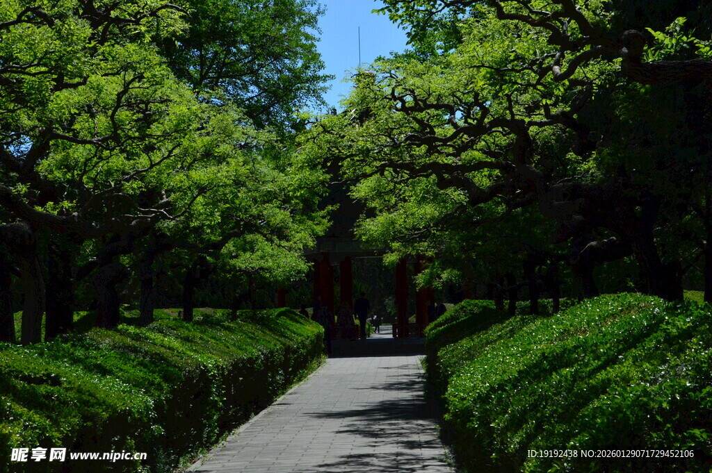 公园风景  