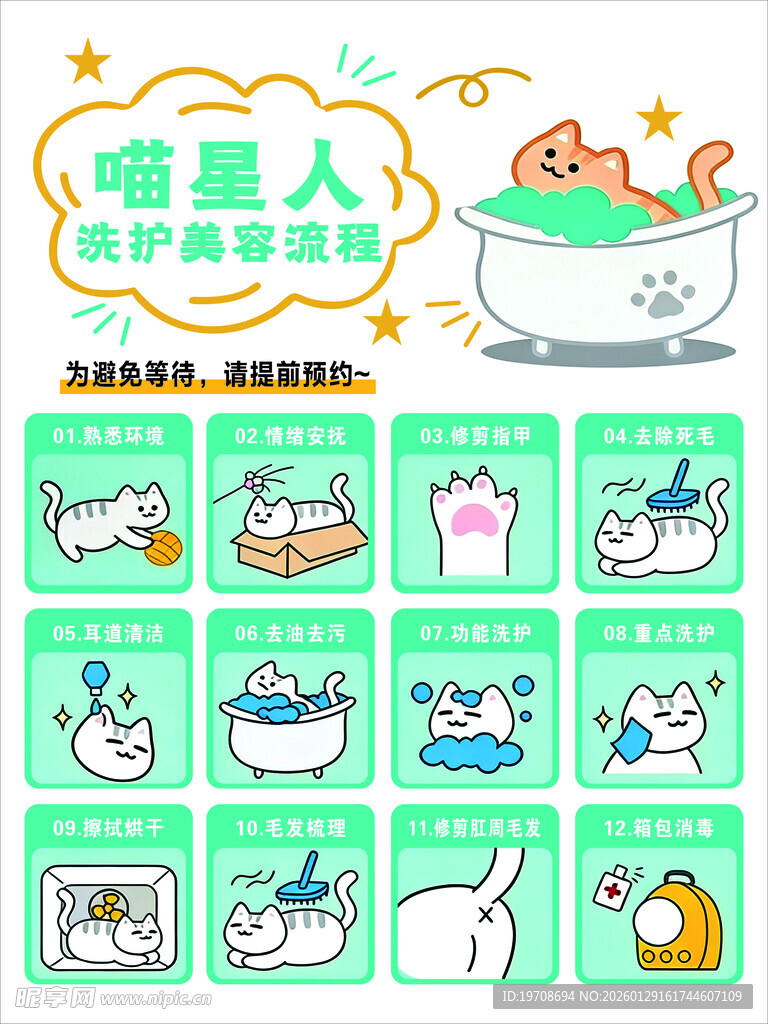 宠物洗护美容流程 