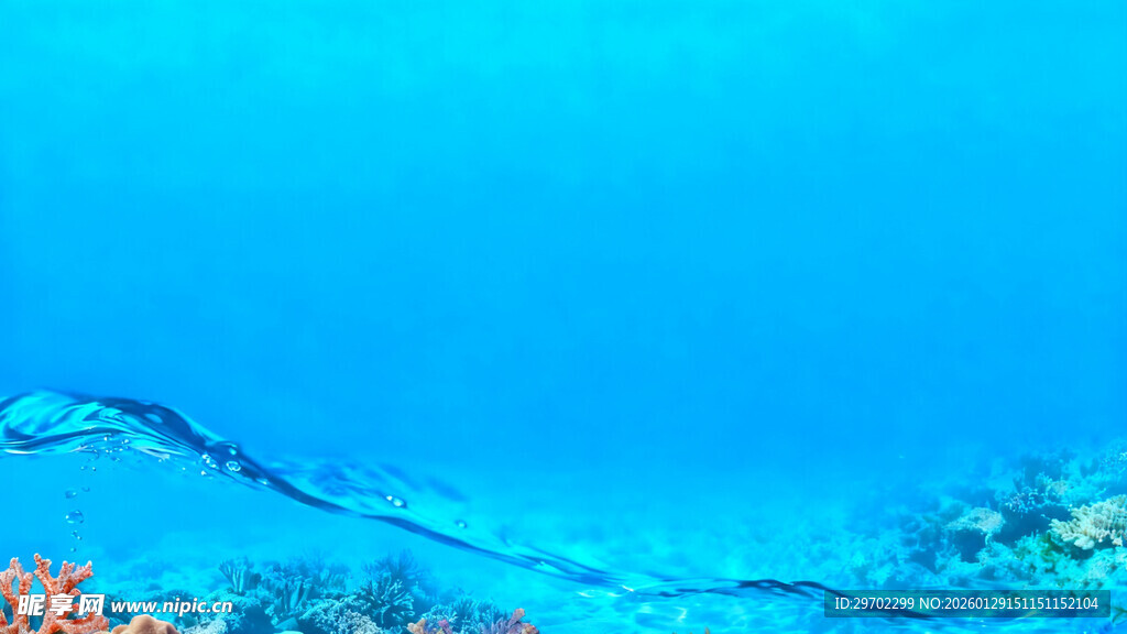 海底美丽珊瑚景观