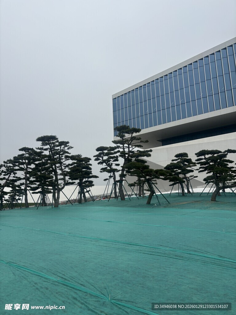 现代建筑旁的葱郁树木