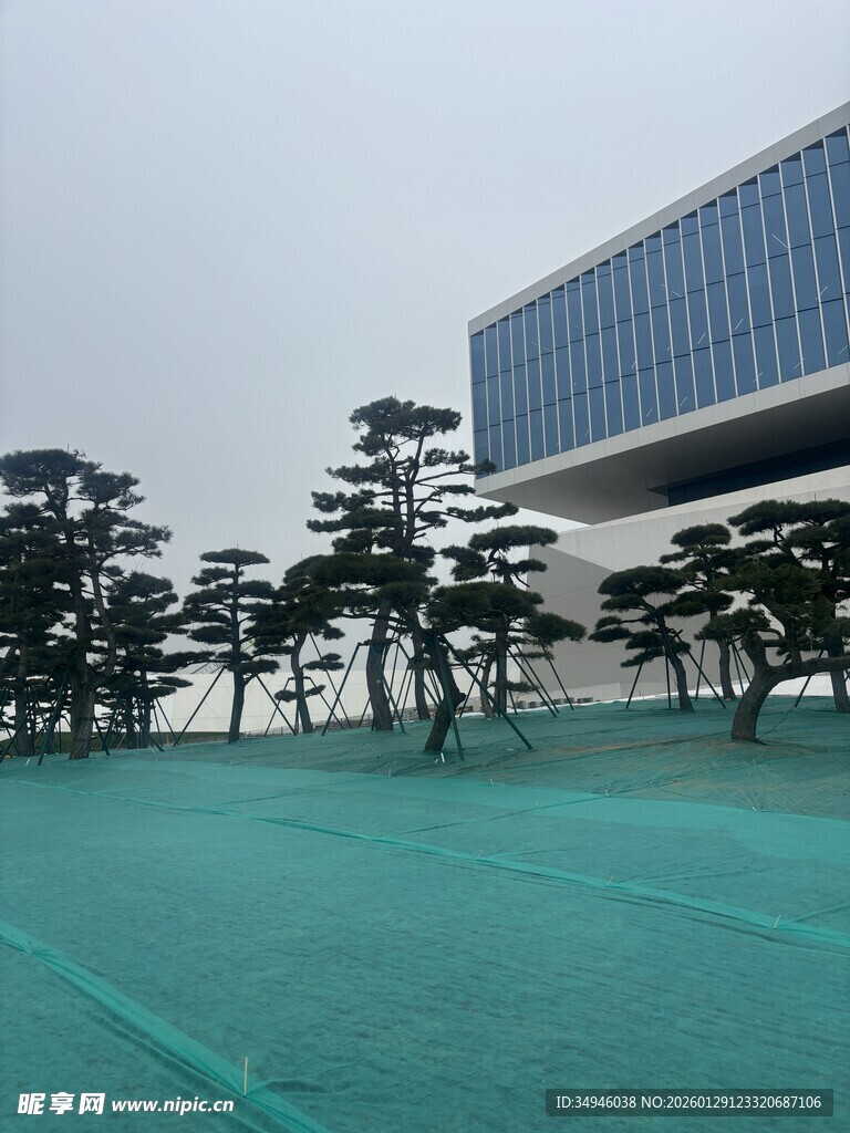 现代建筑前的绿树景观