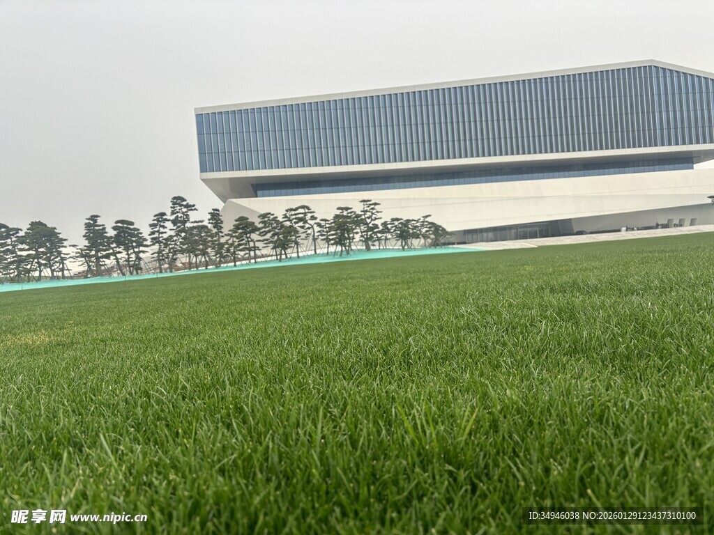现代建筑旁的绿茵草地