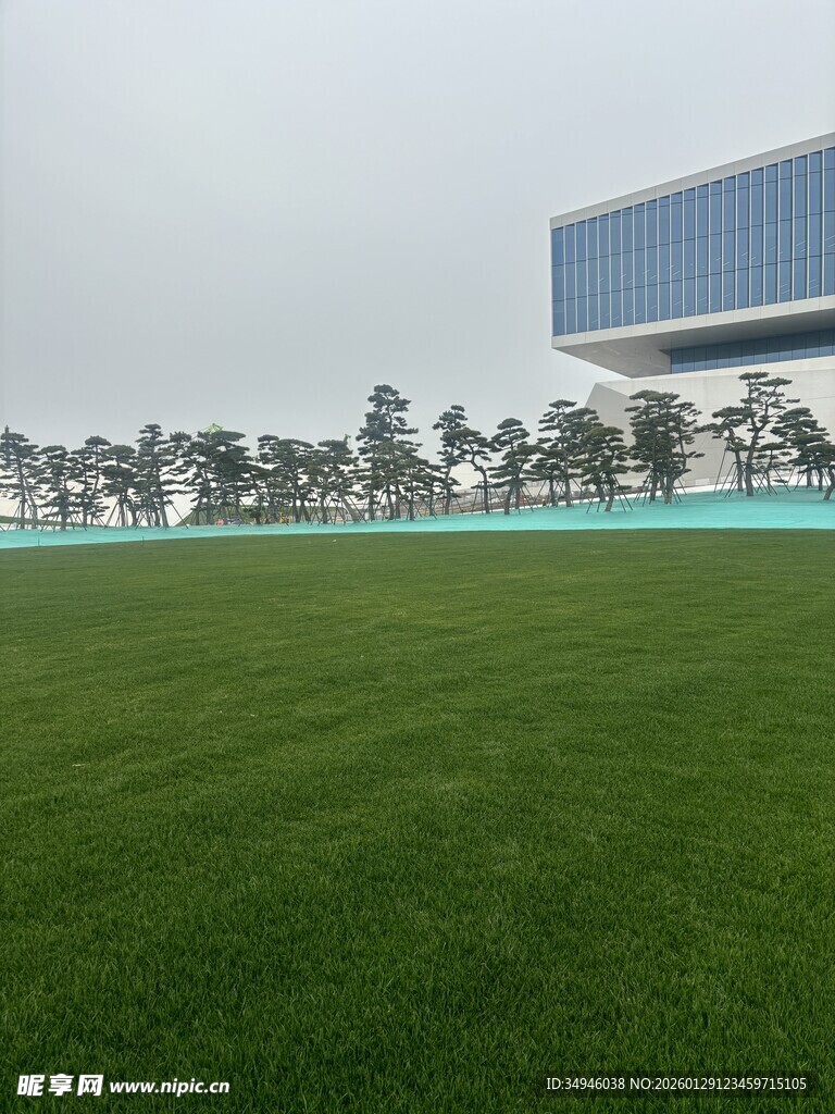 绿茵场地与远处现代建筑