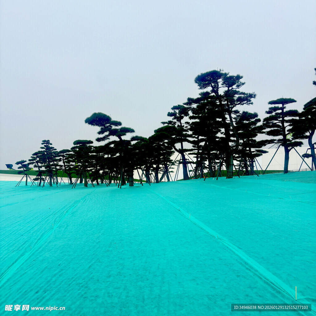 蓝绿交织的自然景观