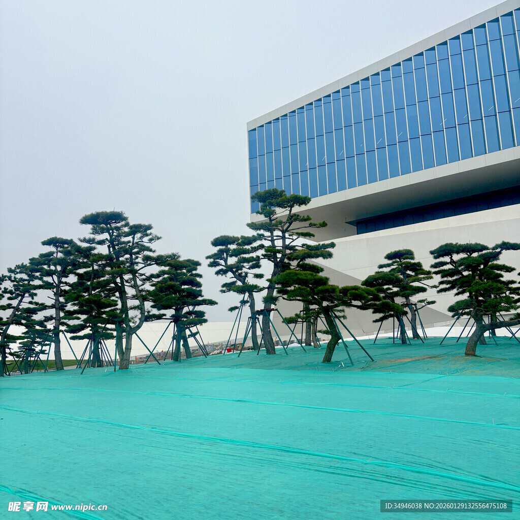 现代建筑旁的翠绿景观