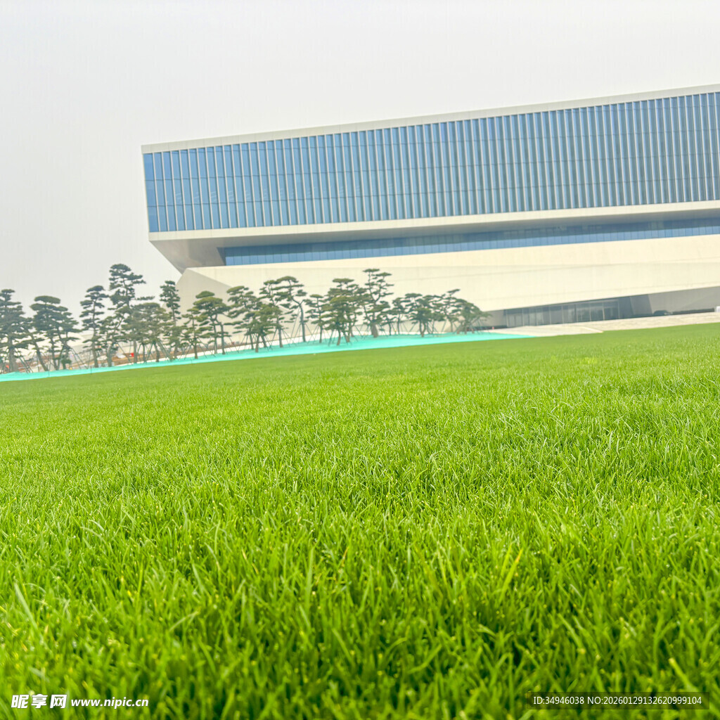 绿茵前的现代建筑风光