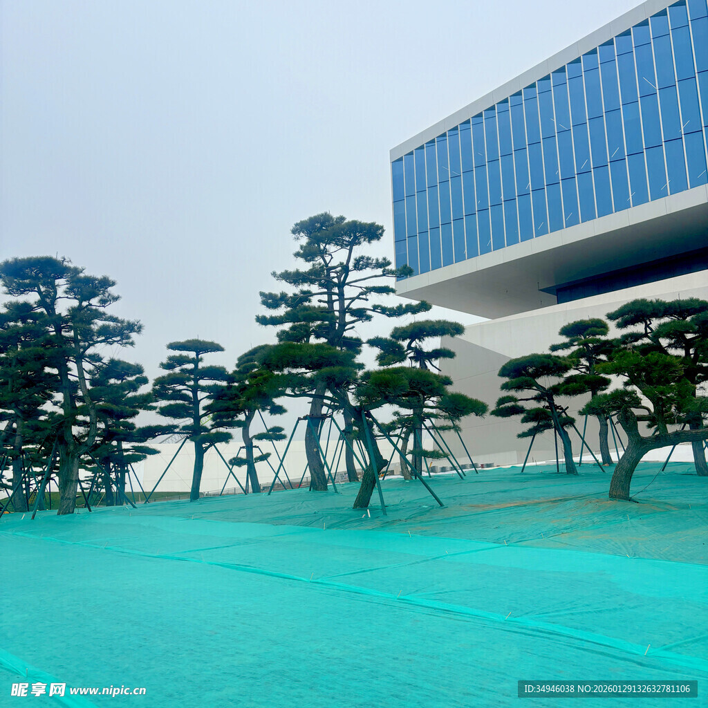 现代建筑旁的清幽景观池