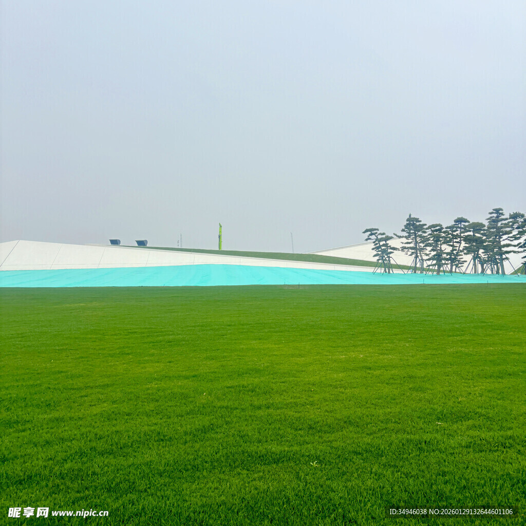 绿色田野与远处建筑景观