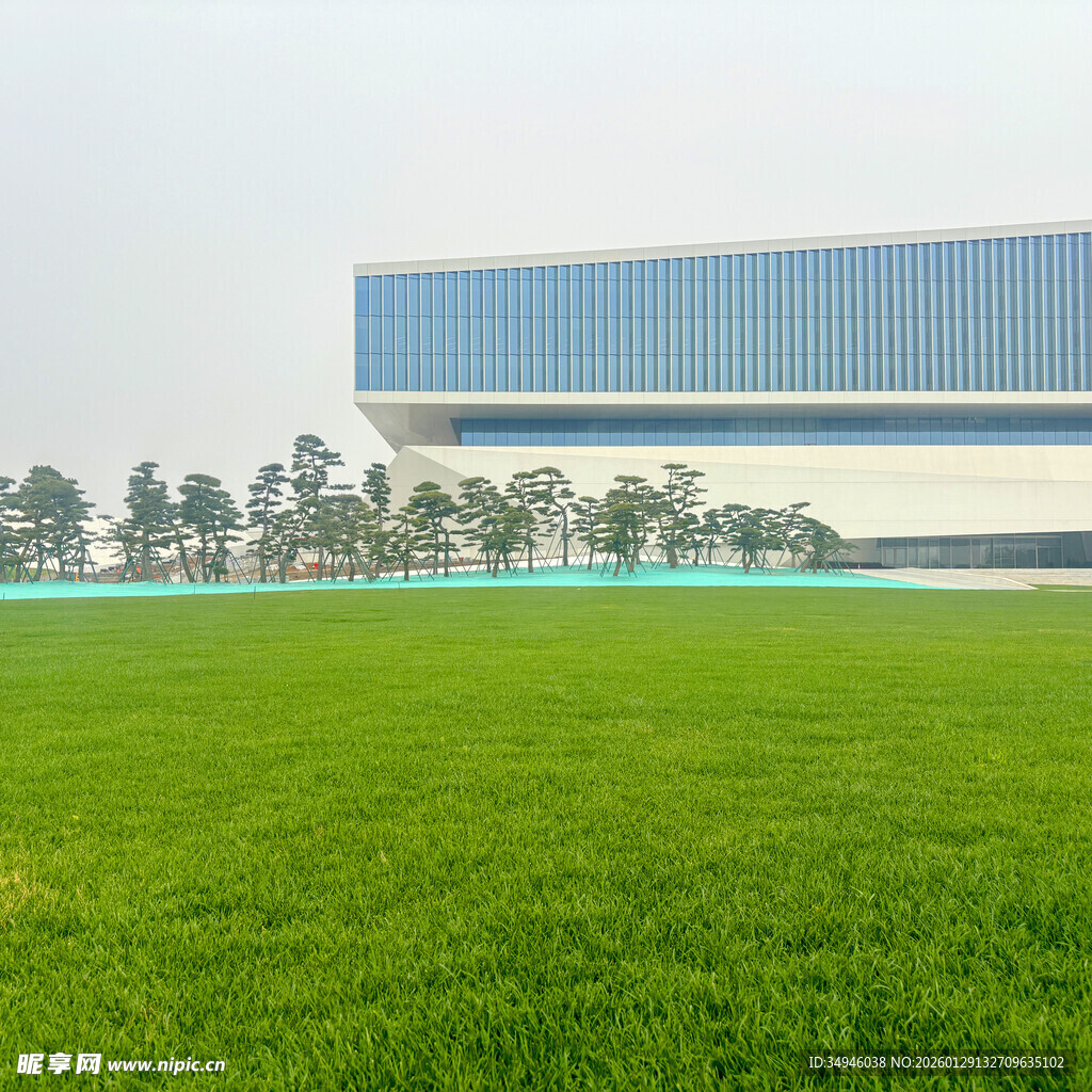 现代建筑旁的翠绿草地