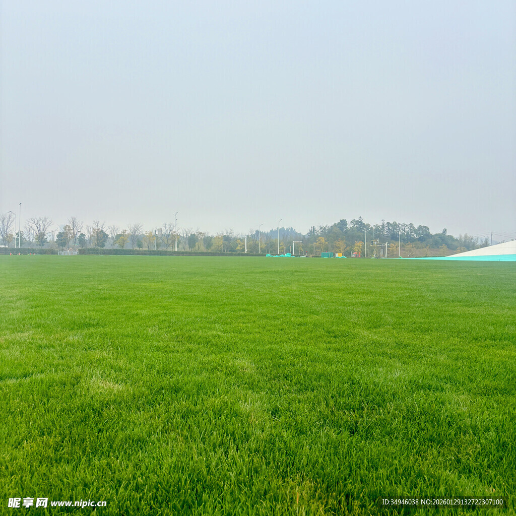 广袤绿草地风光