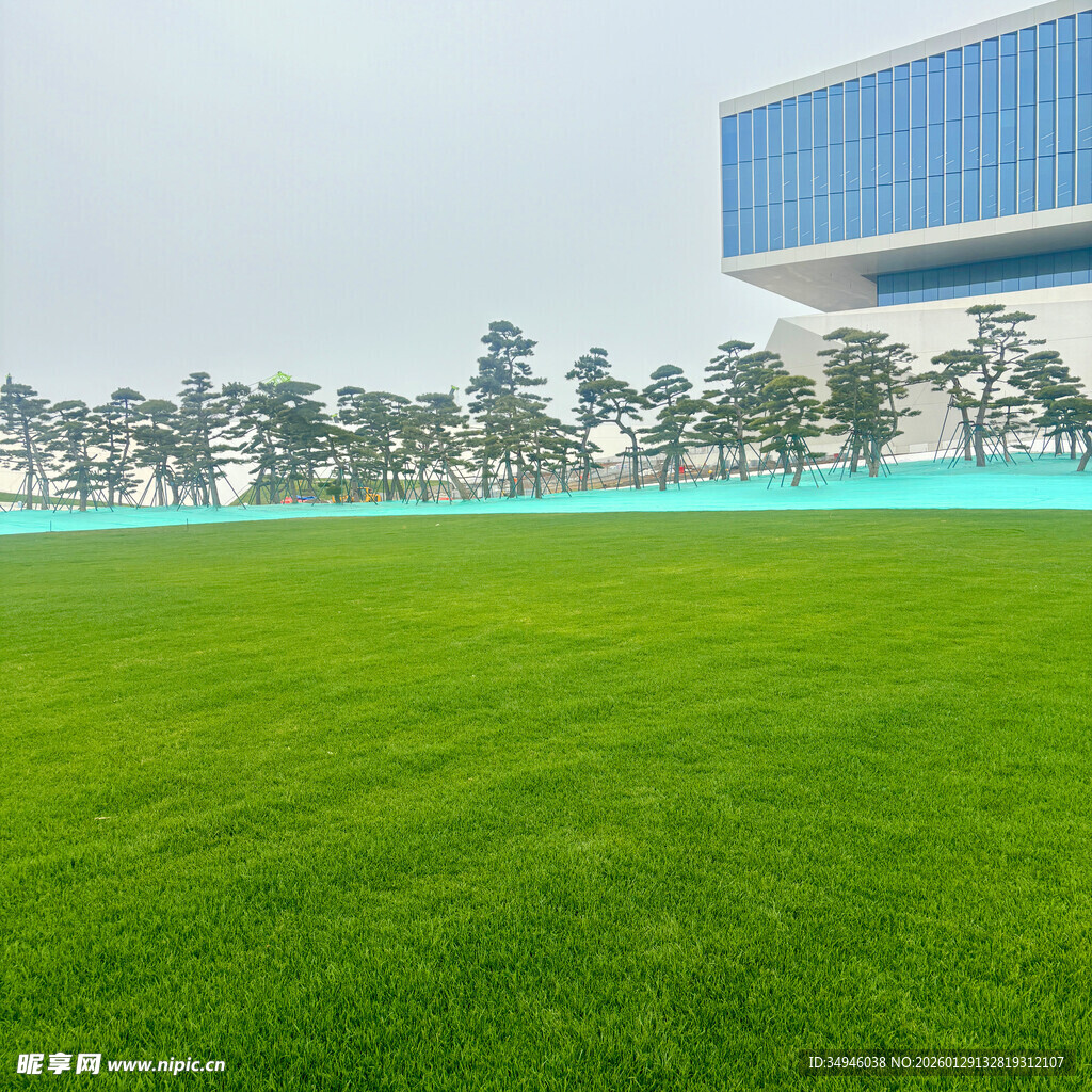 城市中开阔的翠绿草坪