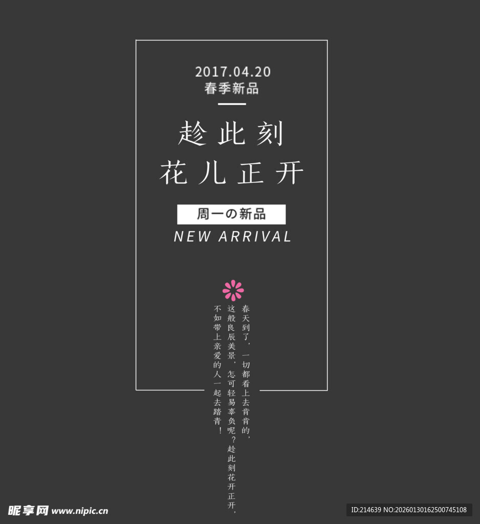 赵死则花儿正开书籍封面