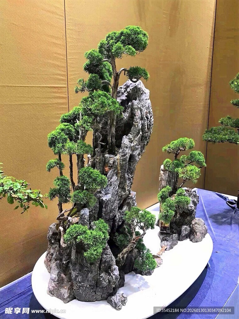 水旱盆景