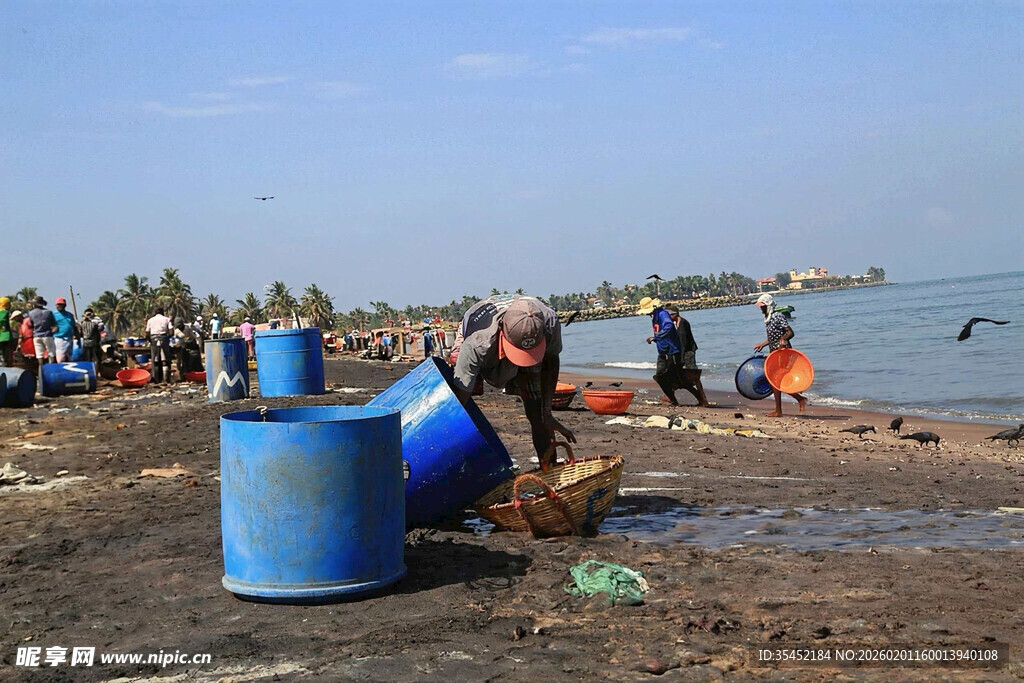 海滩捕鱼