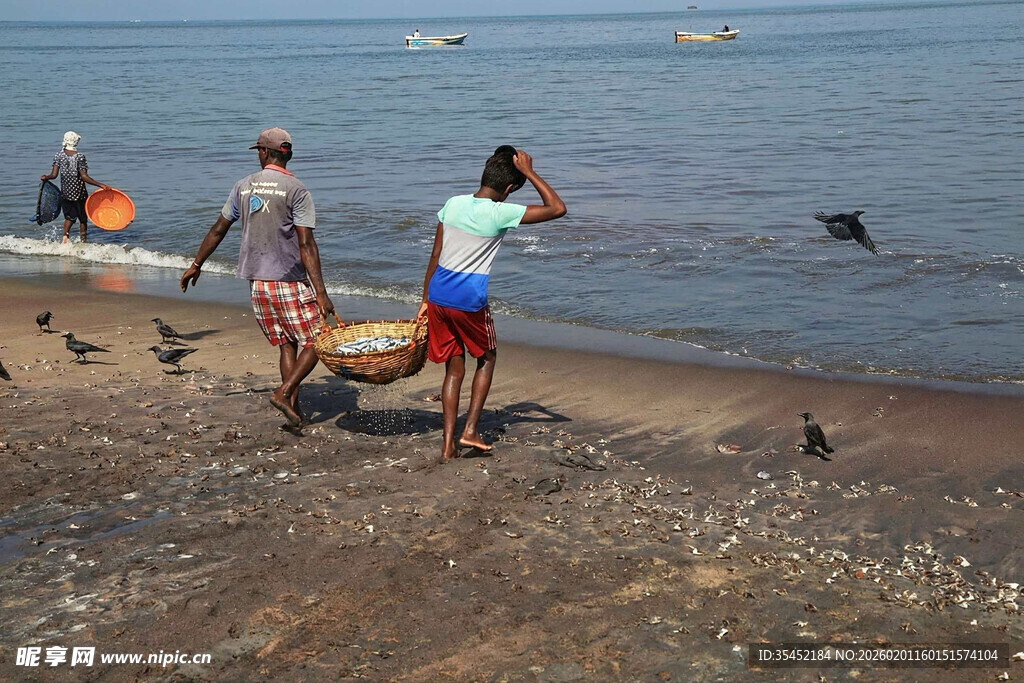 海滩捕鱼