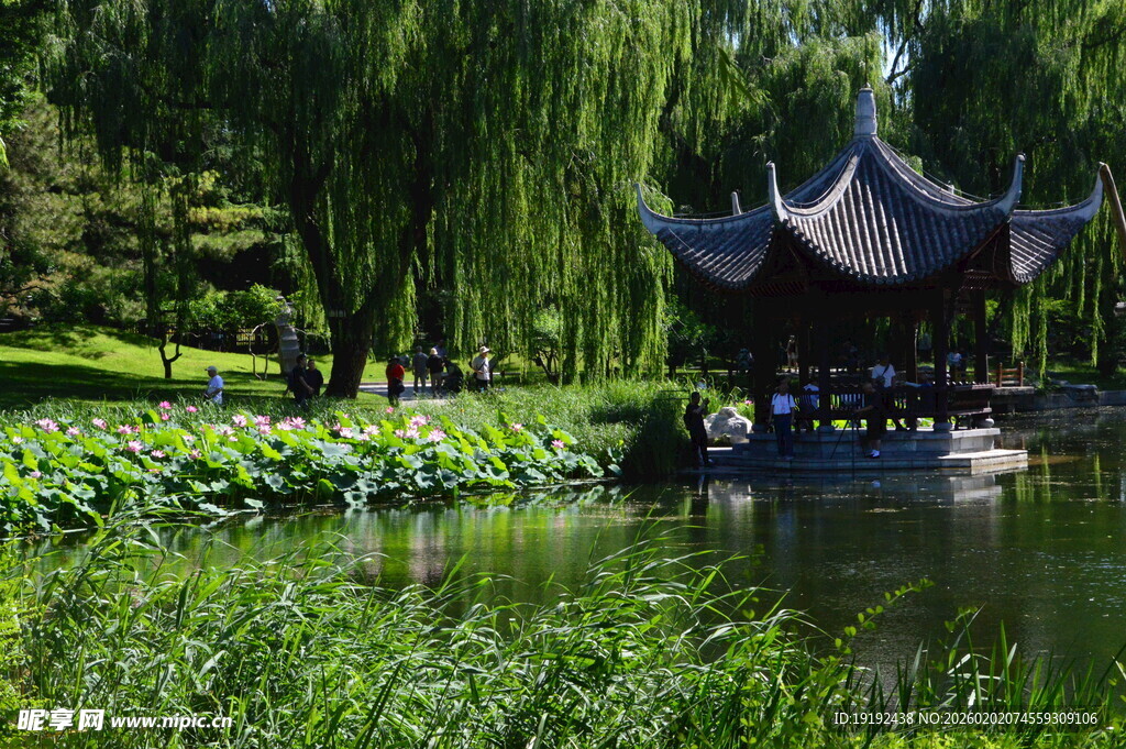 公园风景 