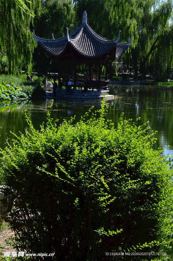 公园风景  