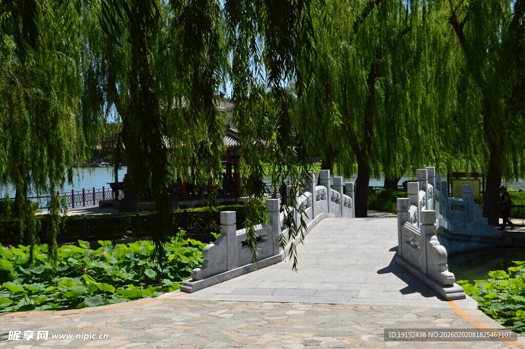 公园风景  