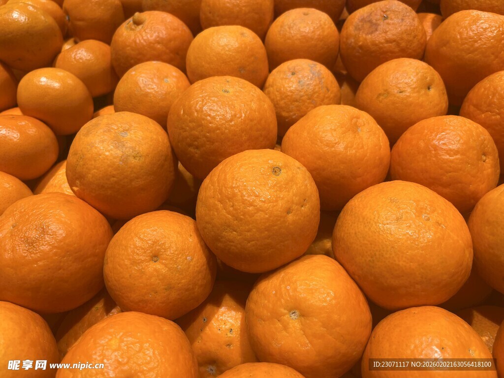 砂糖橘