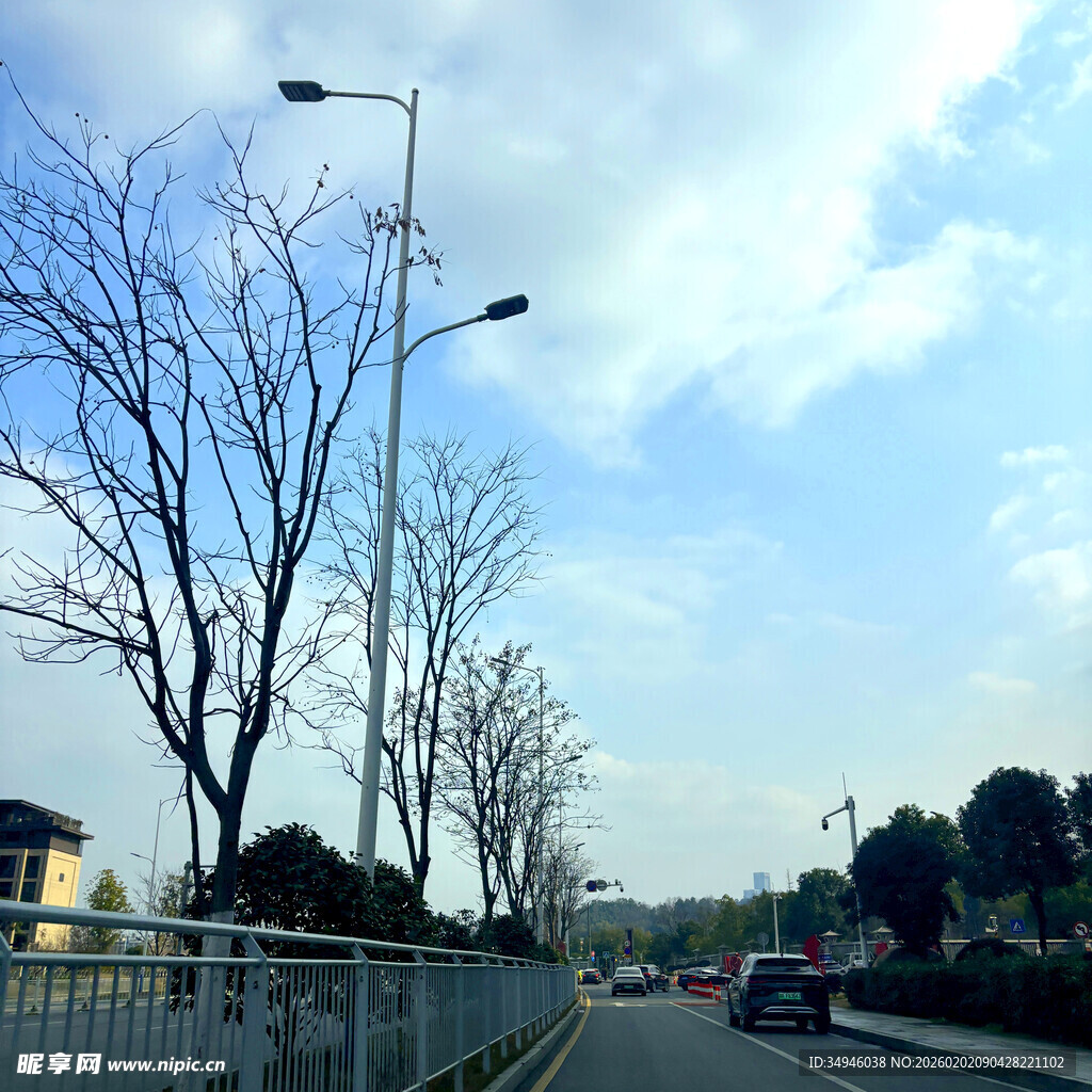 冬日城郊道路景象
