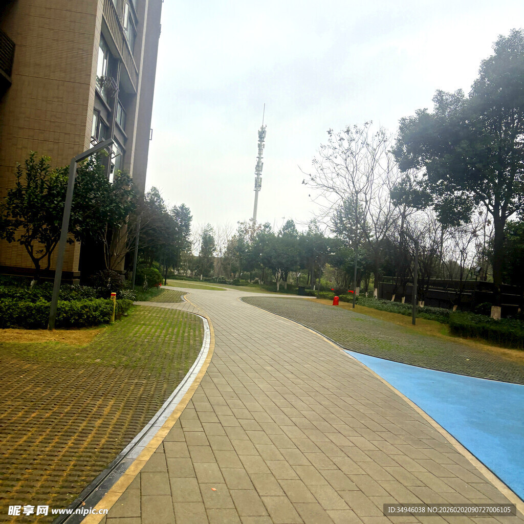 小区内的景观步道