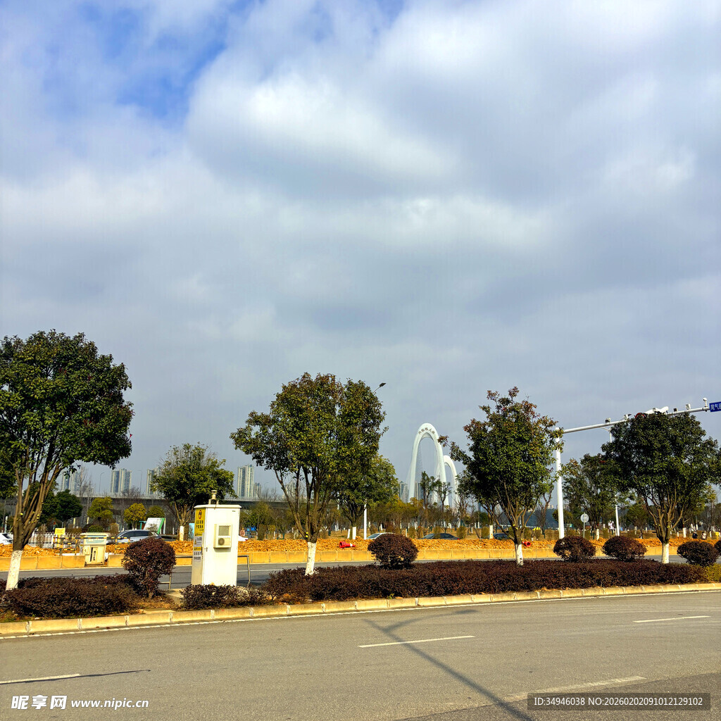 道路旁的绿化景观