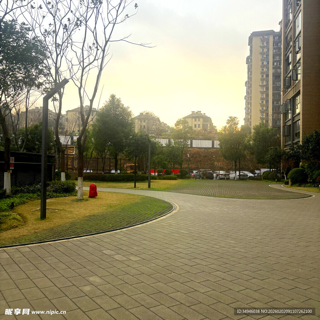 小区内的宁静道路景观