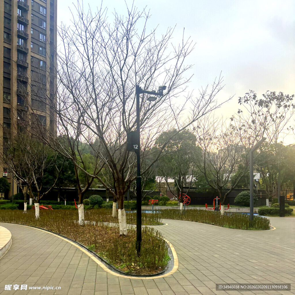 城市公园冬日景观