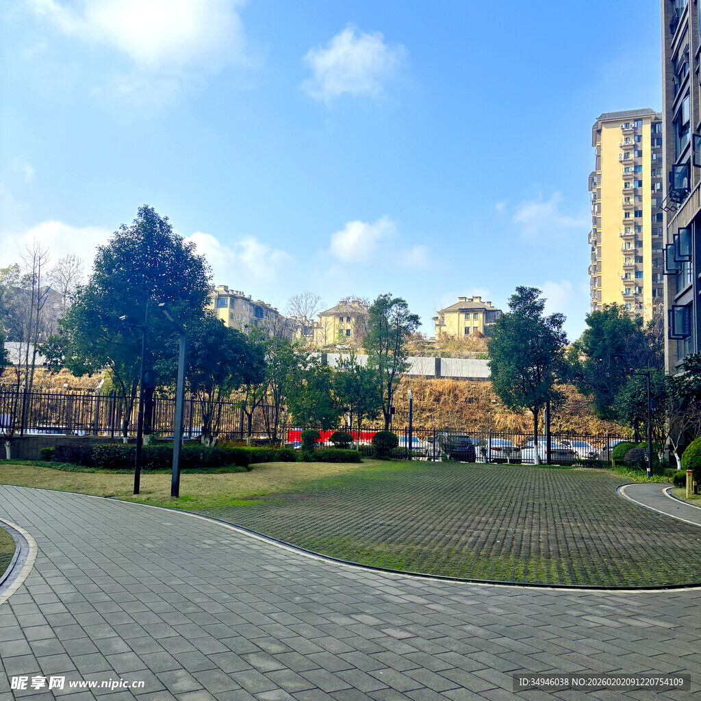 城市公园内的开阔景致