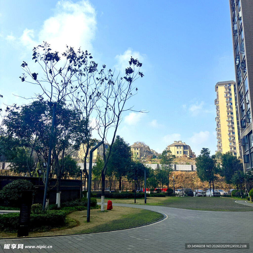 城市公园中的宁静景致