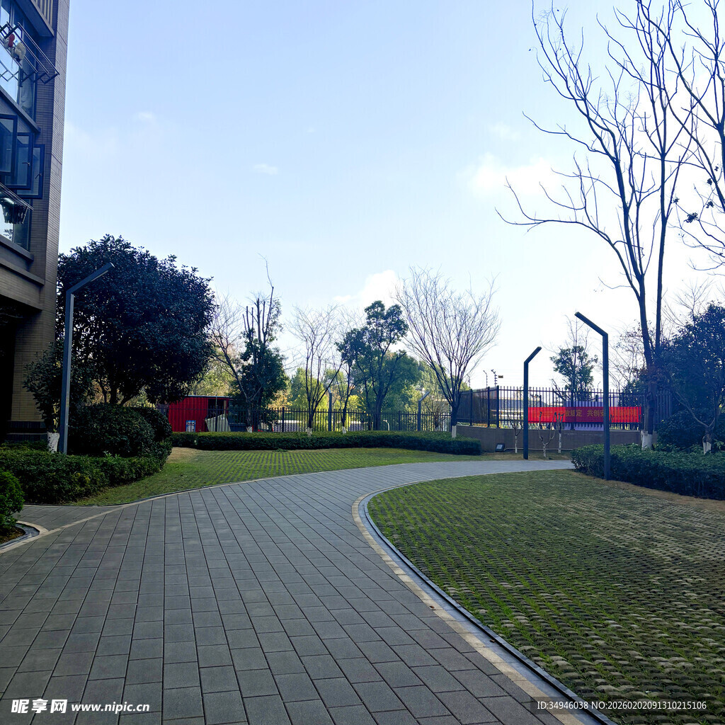 园区内的宁静小路景观