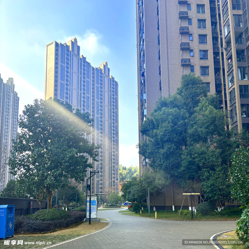 阳光照耀下的城市住宅区