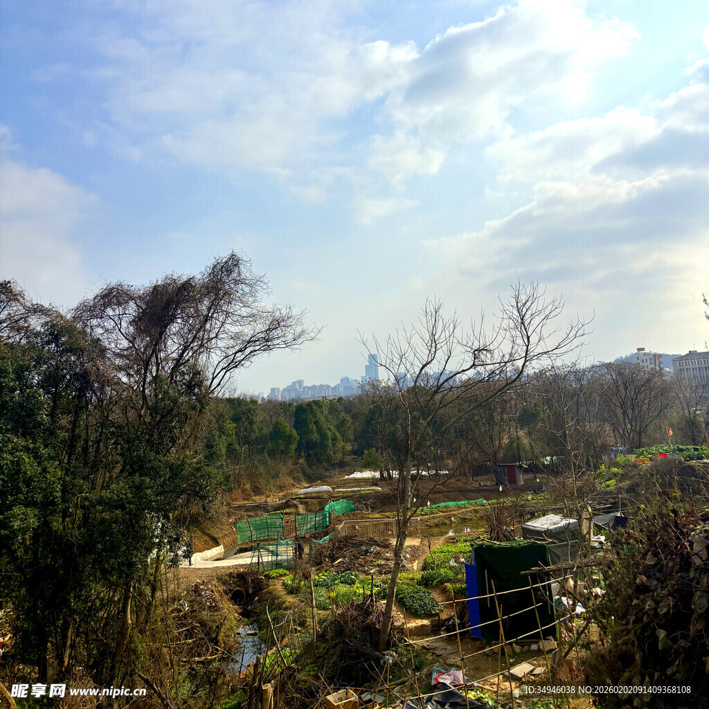 乡村田野风光景象