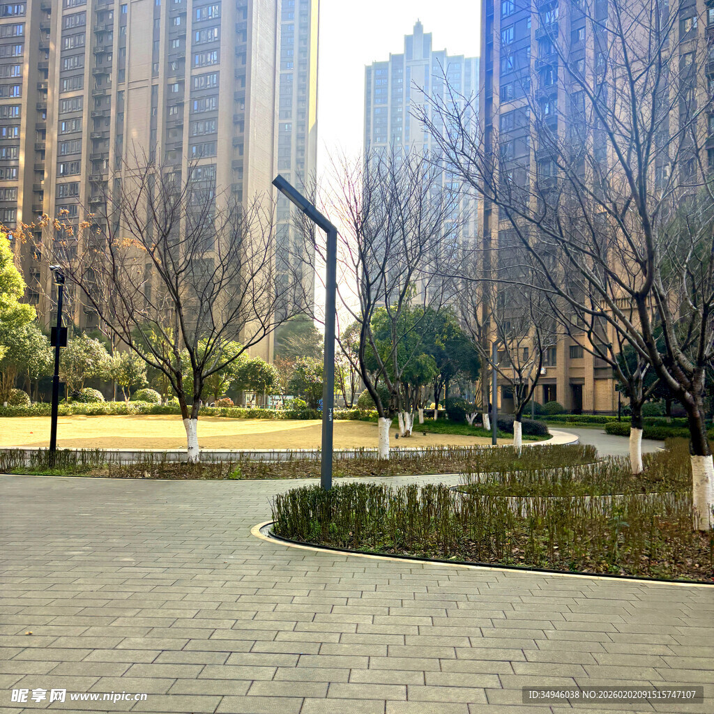 城市中静谧的公园步道