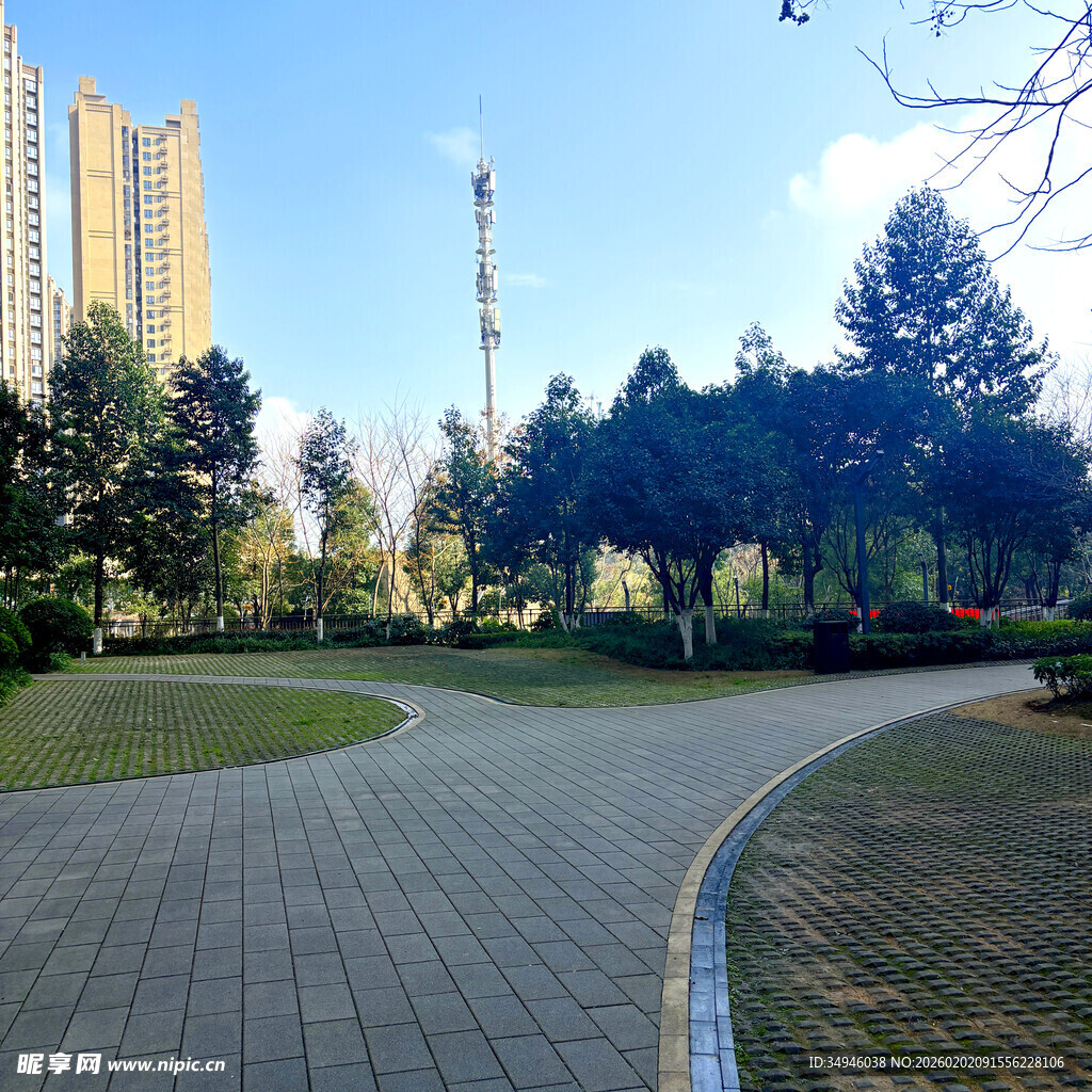 城市中静谧的公园景观