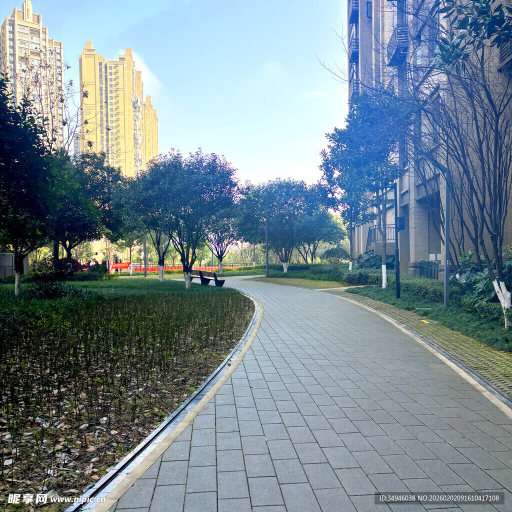 城市中的宁静休闲小道