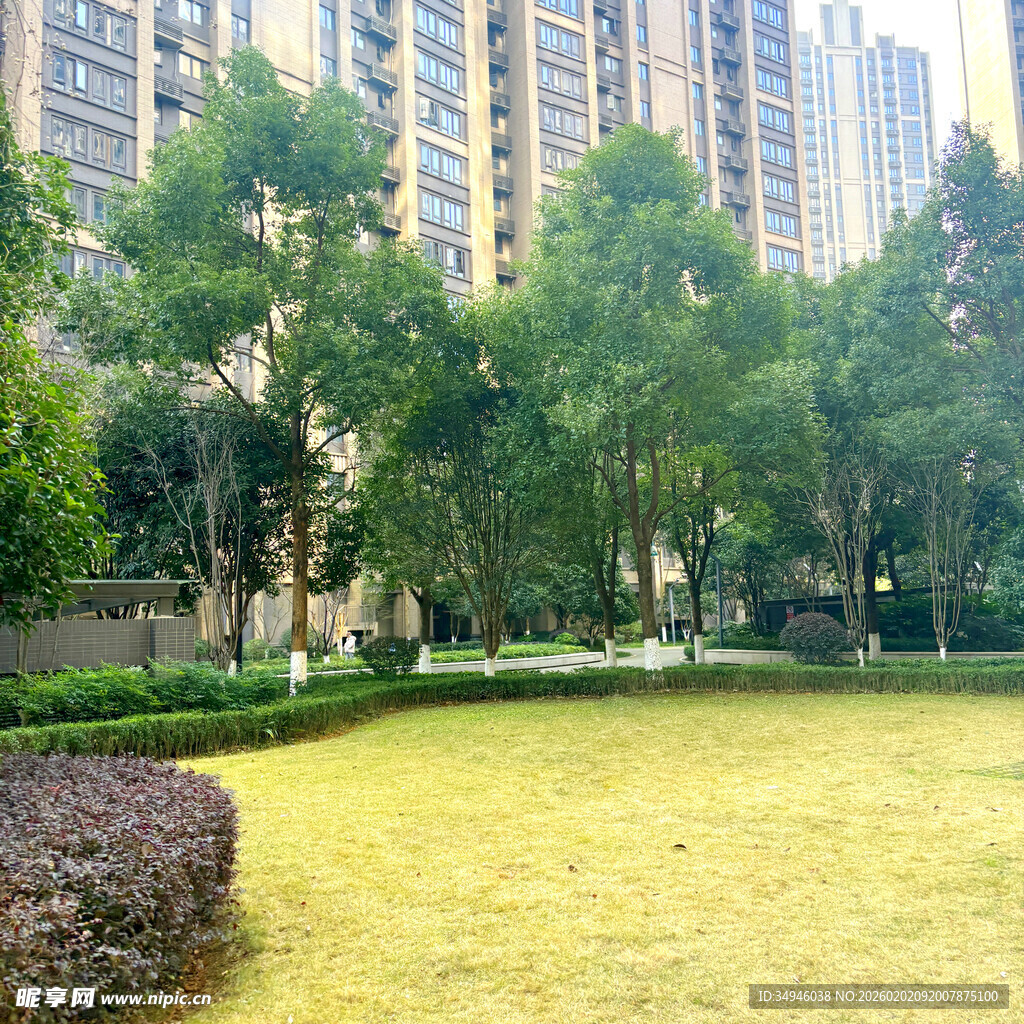 城市中的静谧绿地景观