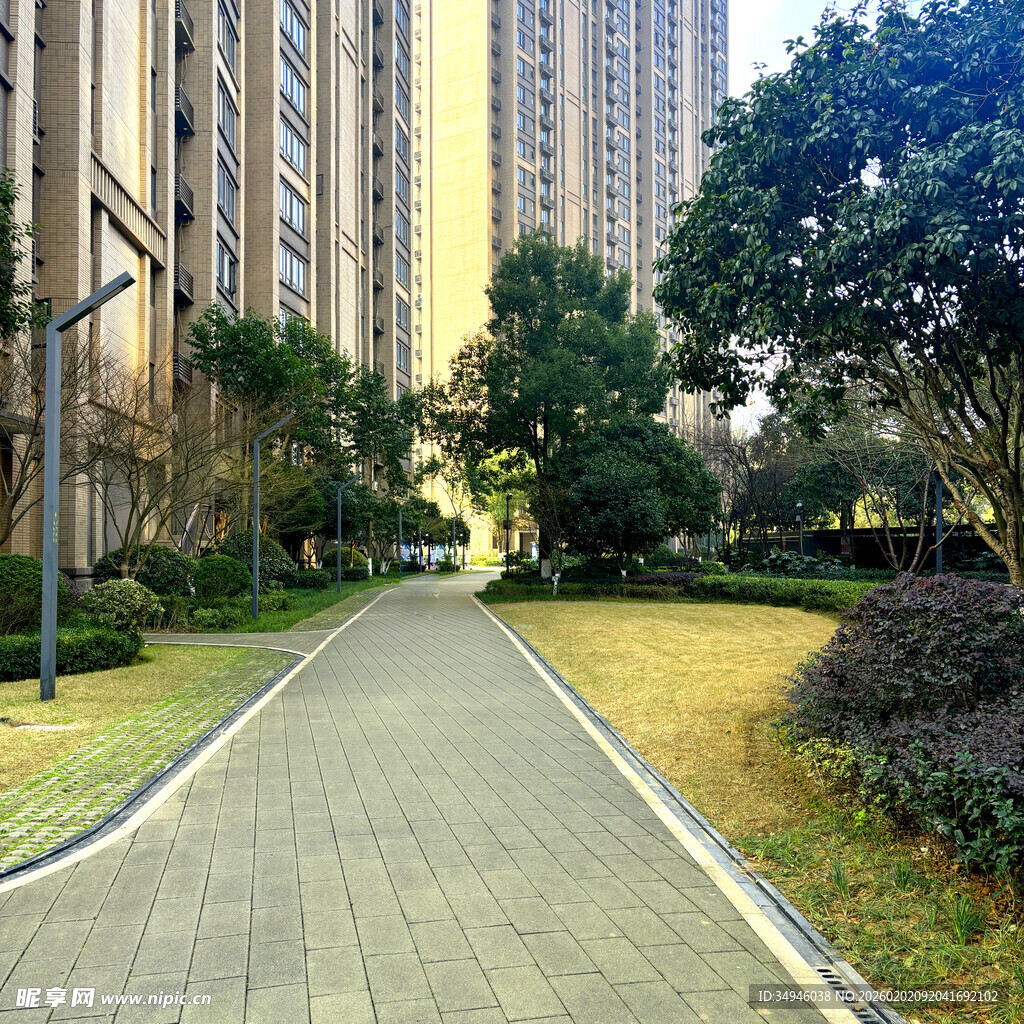 小区内的林荫步道景观