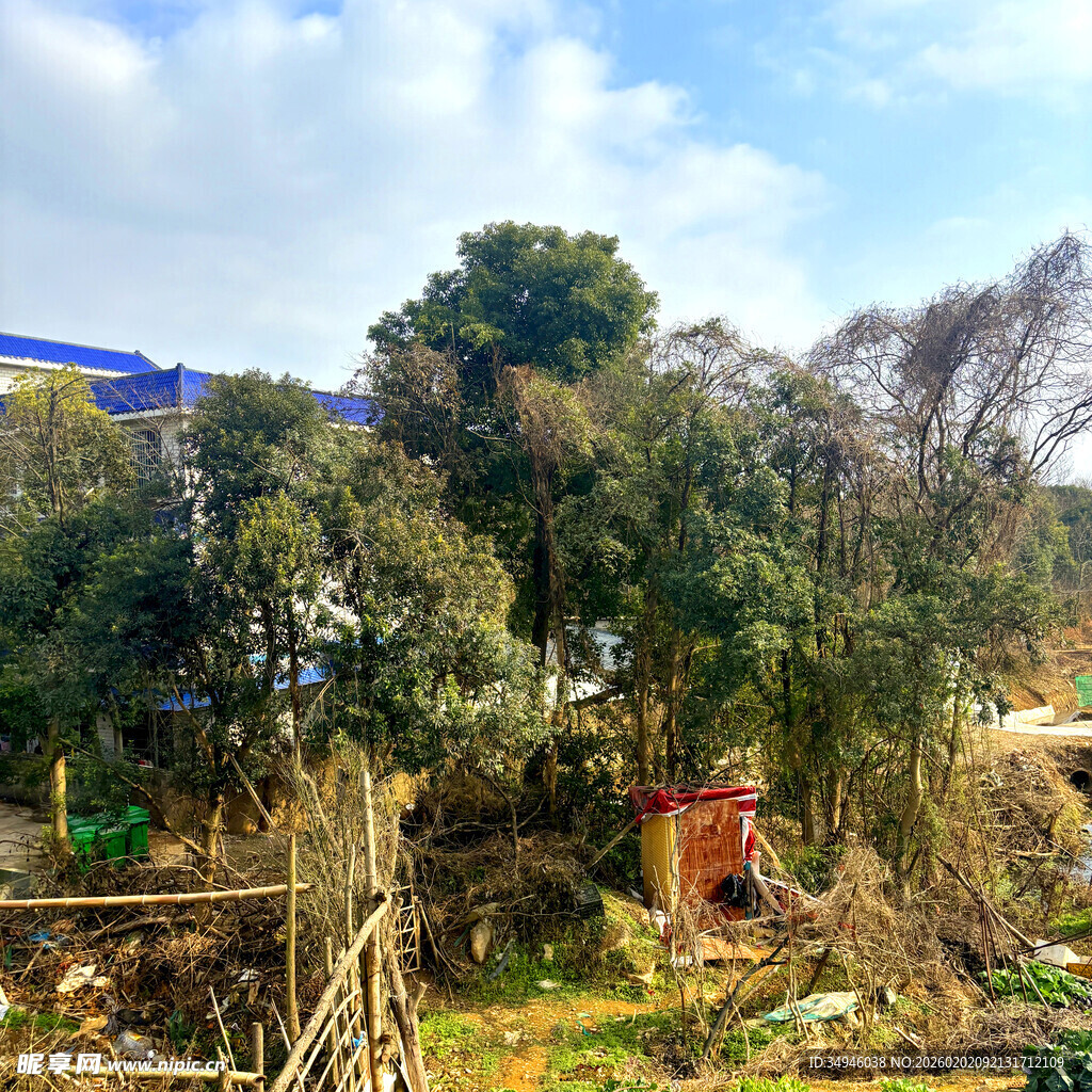 乡村野外的树木与简易围栏