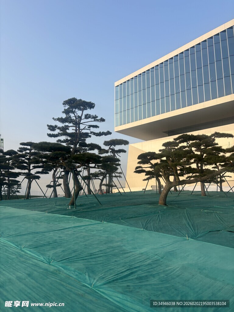现代建筑前的绿植景观