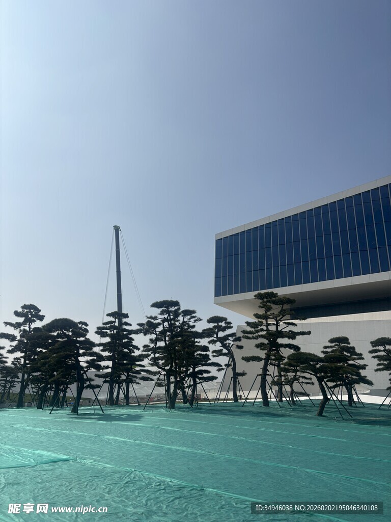 现代建筑前的绿树广场