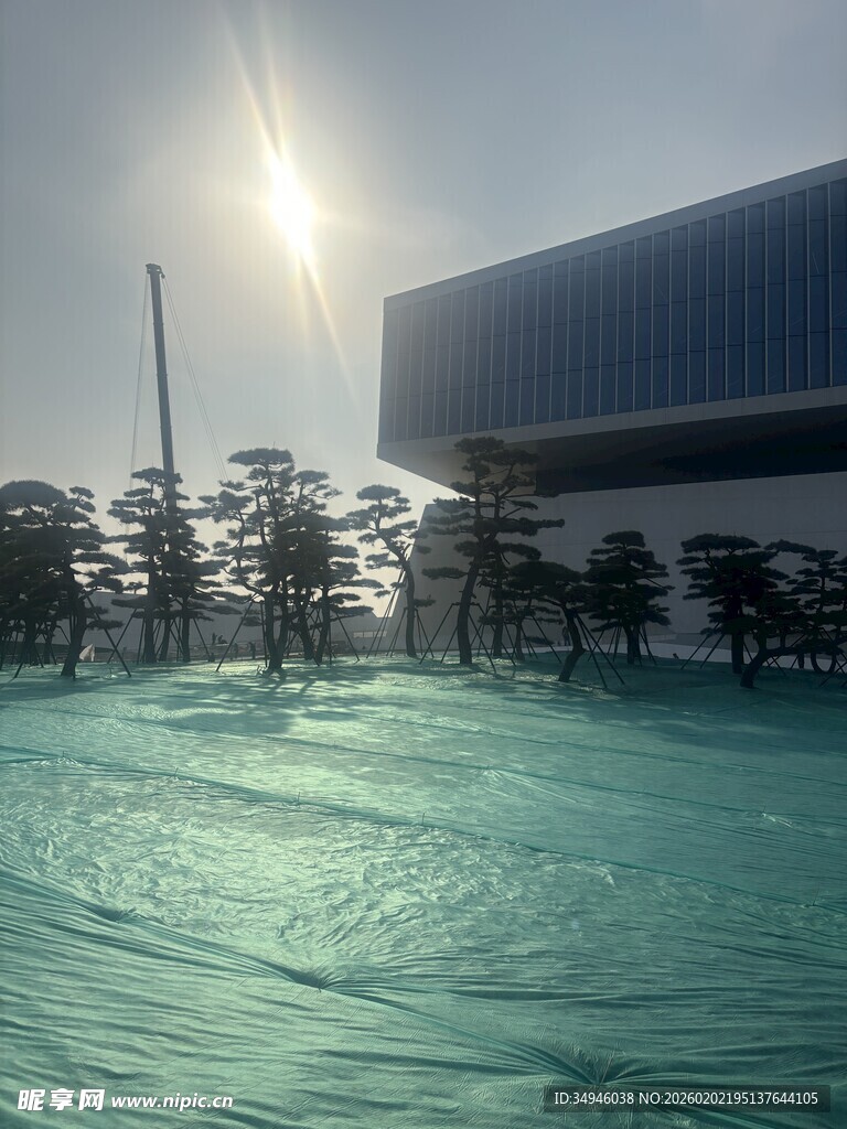 阳光下的建筑与绿植景观