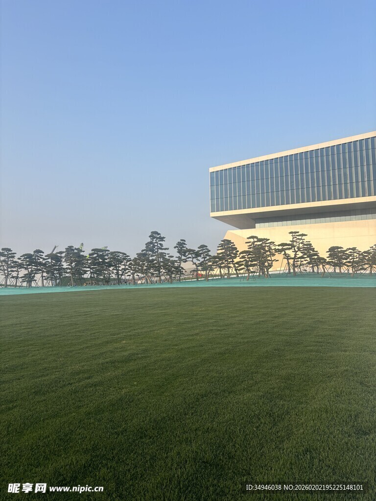 开阔草坪旁的现代建筑