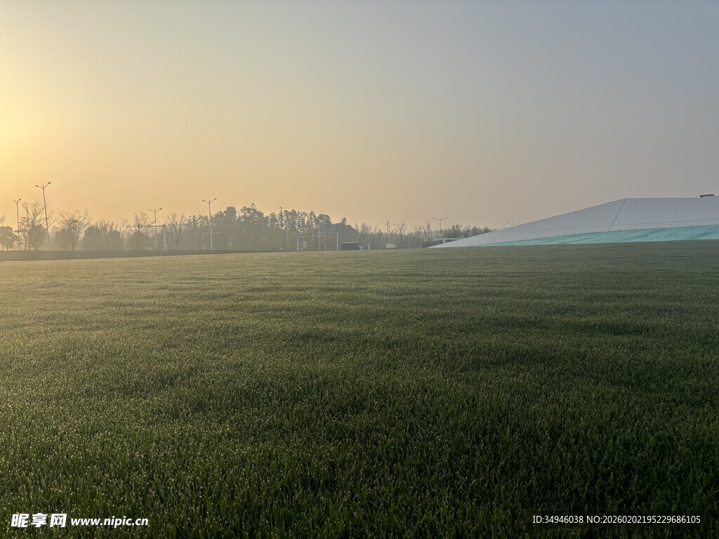 晨曦下的广袤绿色田野