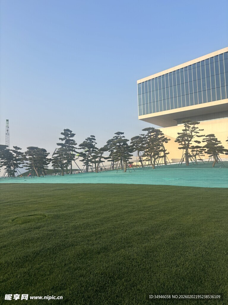 现代建筑旁的开阔绿草地